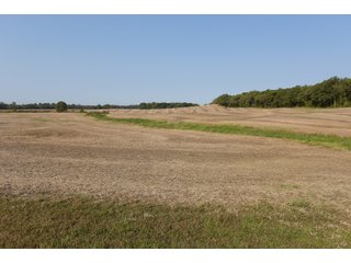 White & Hamilton Counties, Illinois Farmland - ILLINOIS REAL ESTATE AUCTION - 1,720+/- ACRES OFFERED IN 38 TRACTS IN WHITE & HAMILTON COUNTIES, ILLINOIS