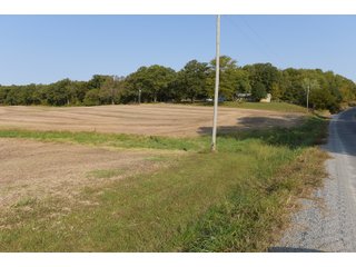 White & Hamilton Counties, Illinois Farmland - ILLINOIS REAL ESTATE AUCTION - 1,720+/- ACRES OFFERED IN 38 TRACTS IN WHITE & HAMILTON COUNTIES, ILLINOIS