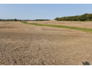 White & Hamilton Counties, Illinois Farmland - ILLINOIS REAL ESTATE AUCTION - 1,720+/- ACRES OFFERED IN 38 TRACTS IN WHITE & HAMILTON COUNTIES, ILLINOIS