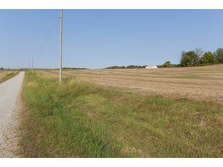 White & Hamilton Counties, Illinois Farmland - ILLINOIS REAL ESTATE AUCTION - 1,720+/- ACRES OFFERED IN 38 TRACTS IN WHITE & HAMILTON COUNTIES, ILLINOIS
