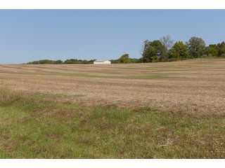 White & Hamilton Counties, Illinois Farmland - ILLINOIS REAL ESTATE AUCTION - 1,720+/- ACRES OFFERED IN 38 TRACTS IN WHITE & HAMILTON COUNTIES, ILLINOIS