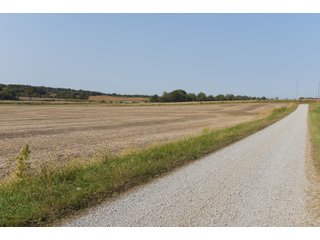 White & Hamilton Counties, Illinois Farmland - ILLINOIS REAL ESTATE AUCTION - 1,720+/- ACRES OFFERED IN 38 TRACTS IN WHITE & HAMILTON COUNTIES, ILLINOIS