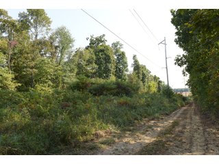 White & Hamilton Counties, Illinois Farmland - ILLINOIS REAL ESTATE AUCTION - 1,720+/- ACRES OFFERED IN 38 TRACTS IN WHITE & HAMILTON COUNTIES, ILLINOIS