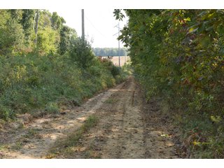 White & Hamilton Counties, Illinois Farmland - ILLINOIS REAL ESTATE AUCTION - 1,720+/- ACRES OFFERED IN 38 TRACTS IN WHITE & HAMILTON COUNTIES, ILLINOIS