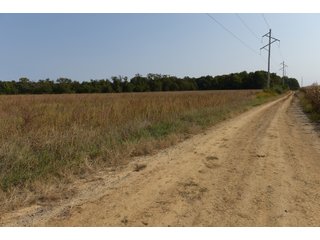 White & Hamilton Counties, Illinois Farmland - ILLINOIS REAL ESTATE AUCTION - 1,720+/- ACRES OFFERED IN 38 TRACTS IN WHITE & HAMILTON COUNTIES, ILLINOIS