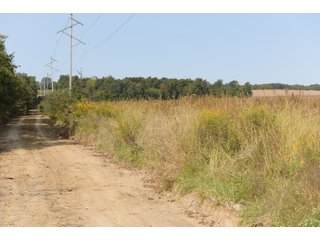 White & Hamilton Counties, Illinois Farmland - ILLINOIS REAL ESTATE AUCTION - 1,720+/- ACRES OFFERED IN 38 TRACTS IN WHITE & HAMILTON COUNTIES, ILLINOIS