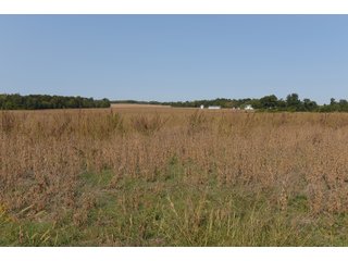 White & Hamilton Counties, Illinois Farmland - ILLINOIS REAL ESTATE AUCTION - 1,720+/- ACRES OFFERED IN 38 TRACTS IN WHITE & HAMILTON COUNTIES, ILLINOIS