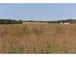 White & Hamilton Counties, Illinois Farmland - ILLINOIS REAL ESTATE AUCTION - 1,720+/- ACRES OFFERED IN 38 TRACTS IN WHITE & HAMILTON COUNTIES, ILLINOIS