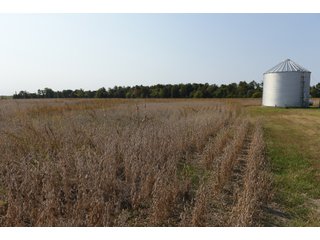 White & Hamilton Counties, Illinois Farmland - ILLINOIS REAL ESTATE AUCTION - 1,720+/- ACRES OFFERED IN 38 TRACTS IN WHITE & HAMILTON COUNTIES, ILLINOIS