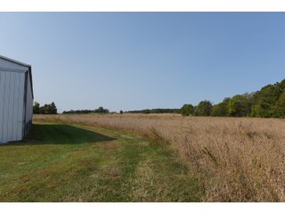 White & Hamilton Counties, Illinois Farmland - ILLINOIS REAL ESTATE AUCTION - 1,720+/- ACRES OFFERED IN 38 TRACTS IN WHITE & HAMILTON COUNTIES, ILLINOIS