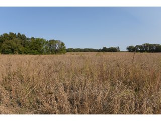 White & Hamilton Counties, Illinois Farmland - ILLINOIS REAL ESTATE AUCTION - 1,720+/- ACRES OFFERED IN 38 TRACTS IN WHITE & HAMILTON COUNTIES, ILLINOIS