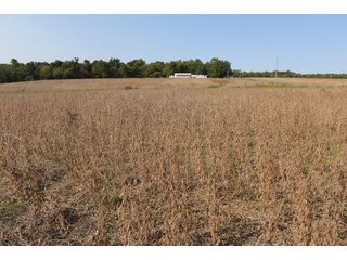 White & Hamilton Counties, Illinois Farmland - ILLINOIS REAL ESTATE AUCTION - 1,720+/- ACRES OFFERED IN 38 TRACTS IN WHITE & HAMILTON COUNTIES, ILLINOIS