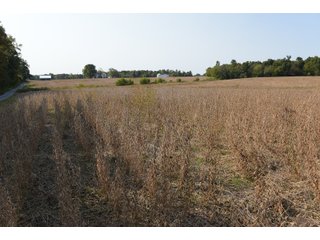 White & Hamilton Counties, Illinois Farmland - ILLINOIS REAL ESTATE AUCTION - 1,720+/- ACRES OFFERED IN 38 TRACTS IN WHITE & HAMILTON COUNTIES, ILLINOIS