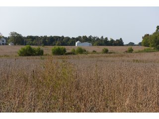 White & Hamilton Counties, Illinois Farmland - ILLINOIS REAL ESTATE AUCTION - 1,720+/- ACRES OFFERED IN 38 TRACTS IN WHITE & HAMILTON COUNTIES, ILLINOIS
