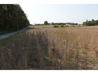 White & Hamilton Counties, Illinois Farmland - ILLINOIS REAL ESTATE AUCTION - 1,720+/- ACRES OFFERED IN 38 TRACTS IN WHITE & HAMILTON COUNTIES, ILLINOIS