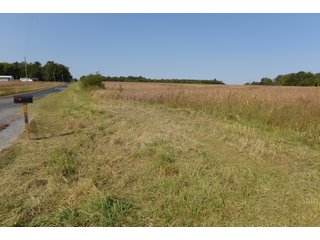 White & Hamilton Counties, Illinois Farmland - ILLINOIS REAL ESTATE AUCTION - 1,720+/- ACRES OFFERED IN 38 TRACTS IN WHITE & HAMILTON COUNTIES, ILLINOIS