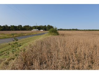 White & Hamilton Counties, Illinois Farmland - ILLINOIS REAL ESTATE AUCTION - 1,720+/- ACRES OFFERED IN 38 TRACTS IN WHITE & HAMILTON COUNTIES, ILLINOIS