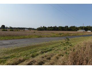 White & Hamilton Counties, Illinois Farmland - ILLINOIS REAL ESTATE AUCTION - 1,720+/- ACRES OFFERED IN 38 TRACTS IN WHITE & HAMILTON COUNTIES, ILLINOIS