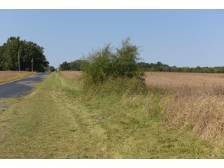 White & Hamilton Counties, Illinois Farmland - ILLINOIS REAL ESTATE AUCTION - 1,720+/- ACRES OFFERED IN 38 TRACTS IN WHITE & HAMILTON COUNTIES, ILLINOIS