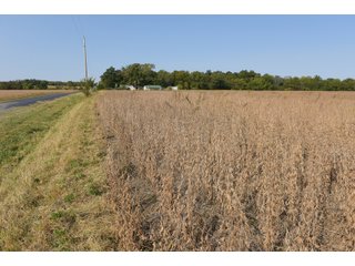White & Hamilton Counties, Illinois Farmland - ILLINOIS REAL ESTATE AUCTION - 1,720+/- ACRES OFFERED IN 38 TRACTS IN WHITE & HAMILTON COUNTIES, ILLINOIS