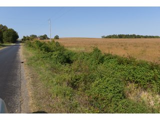 White & Hamilton Counties, Illinois Farmland - ILLINOIS REAL ESTATE AUCTION - 1,720+/- ACRES OFFERED IN 38 TRACTS IN WHITE & HAMILTON COUNTIES, ILLINOIS