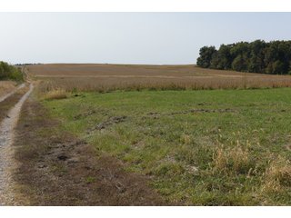 White & Hamilton Counties, Illinois Farmland - ILLINOIS REAL ESTATE AUCTION - 1,720+/- ACRES OFFERED IN 38 TRACTS IN WHITE & HAMILTON COUNTIES, ILLINOIS