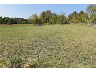 White & Hamilton Counties, Illinois Farmland - ILLINOIS REAL ESTATE AUCTION - 1,720+/- ACRES OFFERED IN 38 TRACTS IN WHITE & HAMILTON COUNTIES, ILLINOIS