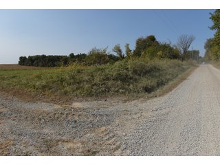 White & Hamilton Counties, Illinois Farmland - ILLINOIS REAL ESTATE AUCTION - 1,720+/- ACRES OFFERED IN 38 TRACTS IN WHITE & HAMILTON COUNTIES, ILLINOIS