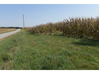 White & Hamilton Counties, Illinois Farmland - ILLINOIS REAL ESTATE AUCTION - 1,720+/- ACRES OFFERED IN 38 TRACTS IN WHITE & HAMILTON COUNTIES, ILLINOIS