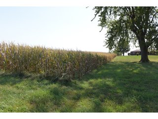 White & Hamilton Counties, Illinois Farmland - ILLINOIS REAL ESTATE AUCTION - 1,720+/- ACRES OFFERED IN 38 TRACTS IN WHITE & HAMILTON COUNTIES, ILLINOIS