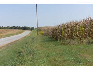 White & Hamilton Counties, Illinois Farmland - ILLINOIS REAL ESTATE AUCTION - 1,720+/- ACRES OFFERED IN 38 TRACTS IN WHITE & HAMILTON COUNTIES, ILLINOIS