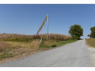 White & Hamilton Counties, Illinois Farmland - ILLINOIS REAL ESTATE AUCTION - 1,720+/- ACRES OFFERED IN 38 TRACTS IN WHITE & HAMILTON COUNTIES, ILLINOIS
