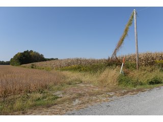 White & Hamilton Counties, Illinois Farmland - ILLINOIS REAL ESTATE AUCTION - 1,720+/- ACRES OFFERED IN 38 TRACTS IN WHITE & HAMILTON COUNTIES, ILLINOIS