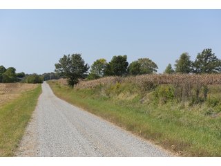 White & Hamilton Counties, Illinois Farmland - ILLINOIS REAL ESTATE AUCTION - 1,720+/- ACRES OFFERED IN 38 TRACTS IN WHITE & HAMILTON COUNTIES, ILLINOIS