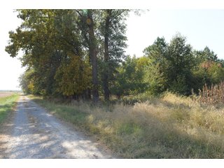 White & Hamilton Counties, Illinois Farmland - ILLINOIS REAL ESTATE AUCTION - 1,720+/- ACRES OFFERED IN 38 TRACTS IN WHITE & HAMILTON COUNTIES, ILLINOIS