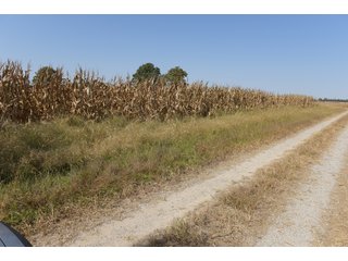 White & Hamilton Counties, Illinois Farmland - ILLINOIS REAL ESTATE AUCTION - 1,720+/- ACRES OFFERED IN 38 TRACTS IN WHITE & HAMILTON COUNTIES, ILLINOIS