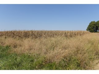 White & Hamilton Counties, Illinois Farmland - ILLINOIS REAL ESTATE AUCTION - 1,720+/- ACRES OFFERED IN 38 TRACTS IN WHITE & HAMILTON COUNTIES, ILLINOIS