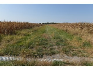 White & Hamilton Counties, Illinois Farmland - ILLINOIS REAL ESTATE AUCTION - 1,720+/- ACRES OFFERED IN 38 TRACTS IN WHITE & HAMILTON COUNTIES, ILLINOIS
