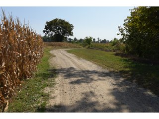 White & Hamilton Counties, Illinois Farmland - ILLINOIS REAL ESTATE AUCTION - 1,720+/- ACRES OFFERED IN 38 TRACTS IN WHITE & HAMILTON COUNTIES, ILLINOIS