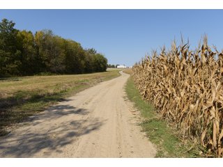 White & Hamilton Counties, Illinois Farmland - ILLINOIS REAL ESTATE AUCTION - 1,720+/- ACRES OFFERED IN 38 TRACTS IN WHITE & HAMILTON COUNTIES, ILLINOIS