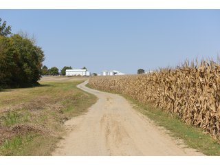 White & Hamilton Counties, Illinois Farmland - ILLINOIS REAL ESTATE AUCTION - 1,720+/- ACRES OFFERED IN 38 TRACTS IN WHITE & HAMILTON COUNTIES, ILLINOIS