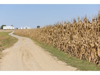 White & Hamilton Counties, Illinois Farmland - ILLINOIS REAL ESTATE AUCTION - 1,720+/- ACRES OFFERED IN 38 TRACTS IN WHITE & HAMILTON COUNTIES, ILLINOIS
