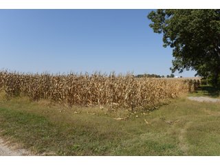 White & Hamilton Counties, Illinois Farmland - ILLINOIS REAL ESTATE AUCTION - 1,720+/- ACRES OFFERED IN 38 TRACTS IN WHITE & HAMILTON COUNTIES, ILLINOIS