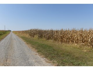 White & Hamilton Counties, Illinois Farmland - ILLINOIS REAL ESTATE AUCTION - 1,720+/- ACRES OFFERED IN 38 TRACTS IN WHITE & HAMILTON COUNTIES, ILLINOIS
