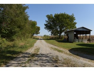 White & Hamilton County, Illinois Farmland - ILLINOIS REAL ESTATE AUCTION - 1,720+/- ACRES OFFERED IN 38 TRACTS IN WHITE & HAMILTON COUNTIES, ILLINOIS