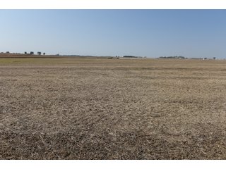 White & Hamilton County, Illinois Farmland - ILLINOIS REAL ESTATE AUCTION - 1,720+/- ACRES OFFERED IN 38 TRACTS IN WHITE & HAMILTON COUNTIES, ILLINOIS