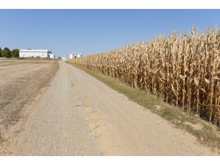White & Hamilton County, Illinois Farmland - ILLINOIS REAL ESTATE AUCTION - 1,720+/- ACRES OFFERED IN 38 TRACTS IN WHITE & HAMILTON COUNTIES, ILLINOIS
