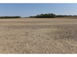 White & Hamilton County, Illinois Farmland - ILLINOIS REAL ESTATE AUCTION - 1,720+/- ACRES OFFERED IN 38 TRACTS IN WHITE & HAMILTON COUNTIES, ILLINOIS