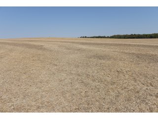 White & Hamilton County, Illinois Farmland - ILLINOIS REAL ESTATE AUCTION - 1,720+/- ACRES OFFERED IN 38 TRACTS IN WHITE & HAMILTON COUNTIES, ILLINOIS