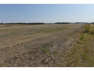 White & Hamilton County, Illinois Farmland - ILLINOIS REAL ESTATE AUCTION - 1,720+/- ACRES OFFERED IN 38 TRACTS IN WHITE & HAMILTON COUNTIES, ILLINOIS